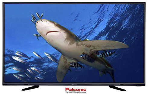 Palsonic HD