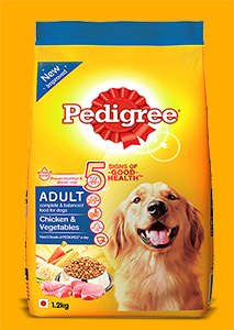 Pedigree Adult Chicken and Vegetables