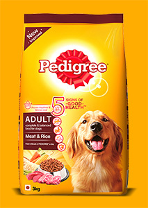 Pedigree Price in Nepal 2018, Pedigree Dog Food Price in Nepal