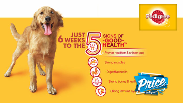 pedigree-price-in-nepal-2018-price-in-nepal