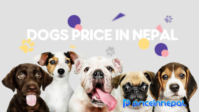 Dogs Price in Nepal, Dogs Price In Nepal