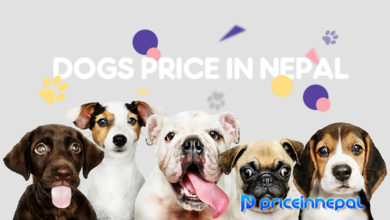 Dog Price In Nepal