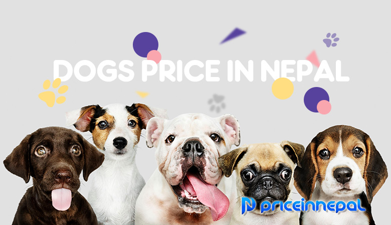 Dog Price In Nepal — Price In 