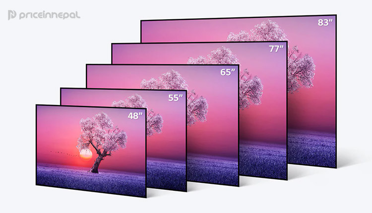 LG C1 OLED TV in Nepal